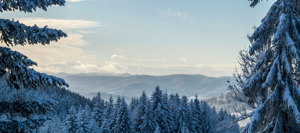 Babytrage im Winter – so bleibt Dein Baby warm und sicher